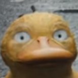 donotshower's profile picture. stinky. plays video games. he/him. 30.