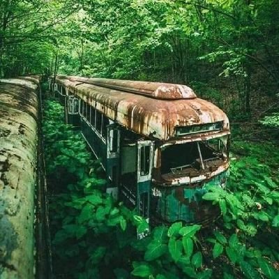 Cast32Jd46866's profile picture. 