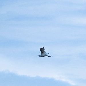 DavidSmithYu's profile picture. Academic Prodigy