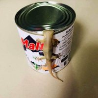 Joe (@joe125952477531) 's Twitter Profile