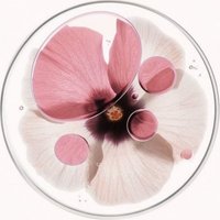 πΕppπͺ ' ζ¬ βΊ β πaππ₯oΝπ«s ! (@sailorsnotes) 's Twitter Profile