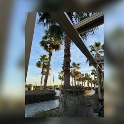 xN_alanzi6's profile picture. Aumer👷