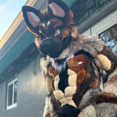 Part time Belgian Shepherd (FUDGE)/Part time furry dream maker/Full time marine service technician and college apprenticeship.