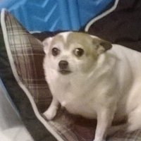 Dะฐัะฟั ๐ฉ๐ฐ (@mumsfilibabba_) 's Twitter Profile Photo Dะฐัะฟั ๐ฉ๐ฐ (@mumsfilibabba_) 's Twitter Profile Photo