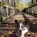 Ronald DeVincenzi - @RonaldDeVincenz - Twitter