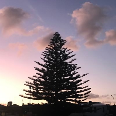 VandyAlav's profile picture. 