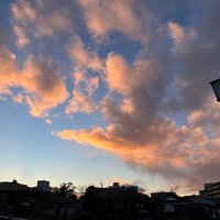 ぷにちゃん (@punisukechan) 's Twitter Profile Photo