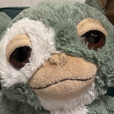 MOCHAKUNdesu's profile picture. もちゃ君の毎日