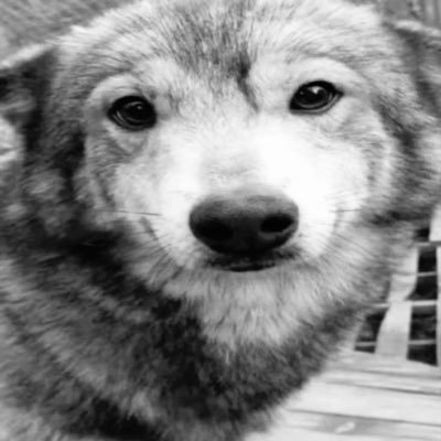 deathangel717's profile picture. 17 | he/they/any