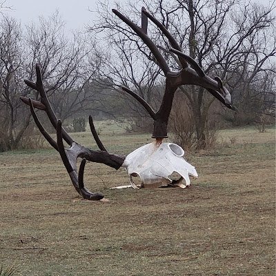 KB5UTY's profile picture. 