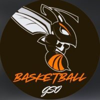 Hawthorne Hornets (@hawthornehoops) 's Twitter Profile