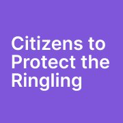 A community dedicated to preserving the FSU-Ringling partnership, protecting the museum's collections & advocating for professional stewardship.