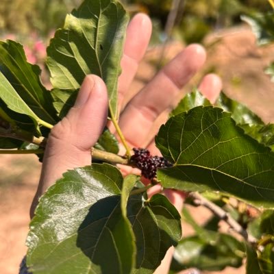 Phet_zill's profile picture. Sleep