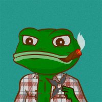 ChordG🧡 (@0xchordg) 's Twitter Profile Photo ChordG🧡 (@0xchordg) 's Twitter Profile Photo