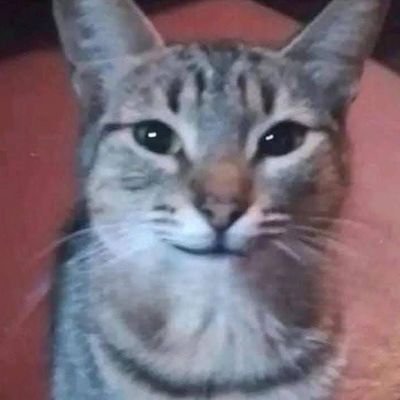 Chambeadora recién tituladaさんのプロフィール画像