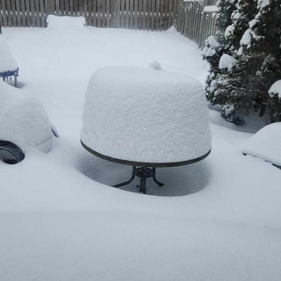 GatorsOnTopALT's profile picture. Backup account for @GatorsOnTop000 !