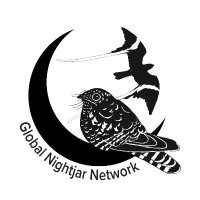 GlobalNightjarNetwork (@globnightjarnet) 's Twitter Profile Photo GlobalNightjarNetwork (@globnightjarnet) 's Twitter Profile Photo
