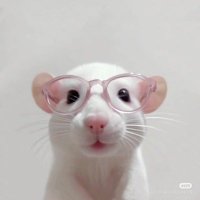 Soy (@soy0044) 's Twitter Profile