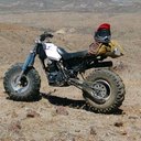 jesse fields - @FieldsJess29237 - Twitter