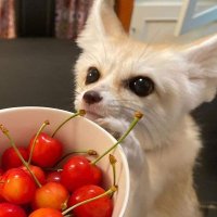 ✿ִ𝆬 ᰍ𓂃 Minkyung ( ੯‧̀͡⬮) (@twilivourr) 's Twitter Profile
