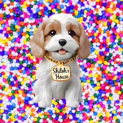 Because your pet’s safety is always in fashion 👑✨