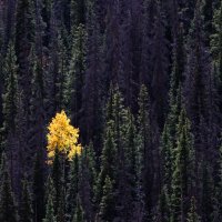 Mark my words (@markt_in_az) 's Twitter Profile