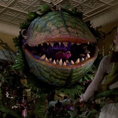 i_icbrah's profile picture. murica fk yea