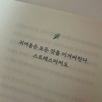 롤링521 (@rollling521) 's Twitter Profile Photo