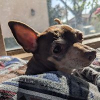 Merkle (@merk_led) 's Twitter Profile