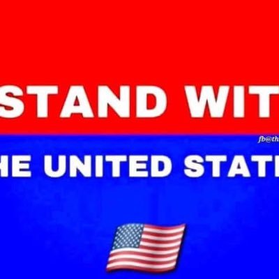 LL8791's profile picture. 