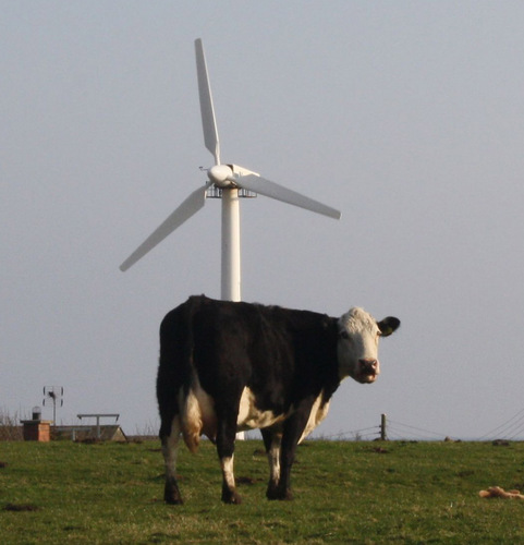 We provide independent advice to farmers & landowners on renewable energy. Contact us for independent straight talking advice on your project T: 028 7930 0606