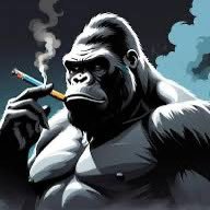 ThatSOLmonkey's profile picture. 