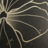 Spicy (@step_mom85) 's Twitter Profile Photo Spicy (@step_mom85) 's Twitter Profile Photo