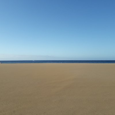 AdamSmi74884729's profile picture.