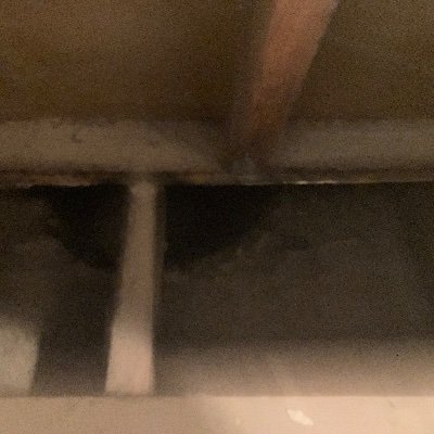 ajuaf_rapper's profile picture. ❤️(ah-joo-uff)

“sincerely, xo” out now!! https://t.co/P9ZW36cu0I