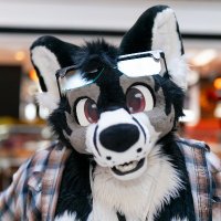 Hunter π FWA,AC,MFF (@hunterdahusky) 's Twitter Profile