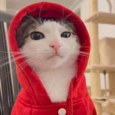 Broizzle's profile picture. a place for retweets