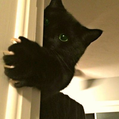 dnekx170488's profile picture. 