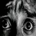 awesome (@doremysweet73) Twitter profile photo awesome (@doremysweet73) Twitter profile photo