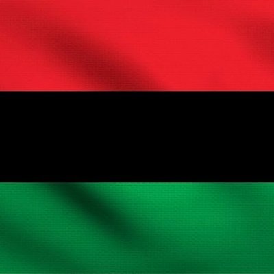 AfricanManOrg's profile picture. Pan African.