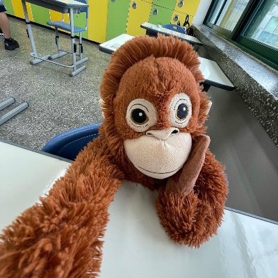 Whokit_toyou's profile picture. 호호