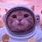 Cat Pink avatar