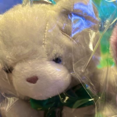 5/ittmさんのプロフィール画像