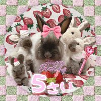 👩🦰のんくく👩🦰🐇きのあ🐇 (@usage_kn) 's Twitter Profile