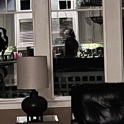 hibobslob's profile picture. 90s baby ♋️