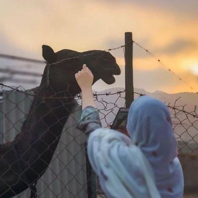 حيلة التغافل الإدراكي أقصر طرق الوصول للراحة والبقاء في منطقة الأمان 👀