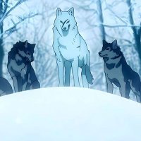 Yami (@yami6265) 's Twitter Profile