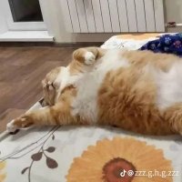 Wrautarbsuwan (@9wrautarbsuwan) 's Twitter Profile