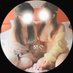 めぐ (@me_gu_mi_415) Twitter profile photo めぐ (@me_gu_mi_415) Twitter profile photo