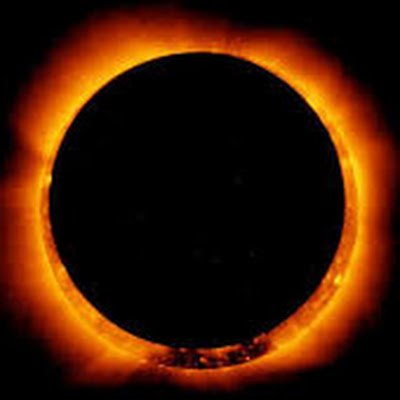 minh_pham44's profile picture. 